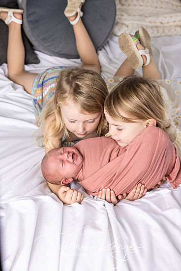 Windholz Newborn